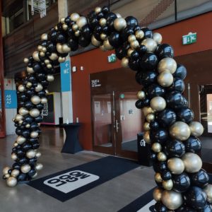 Semiorgaanen kaari Logomossa