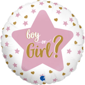 He or She... Boy or Girl